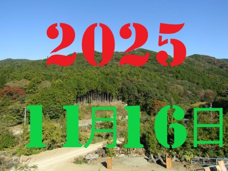 2010�N1��3��