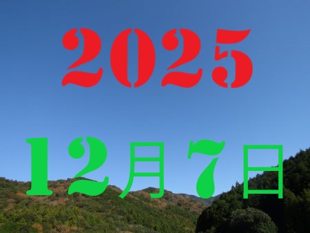 2010�N1��3��