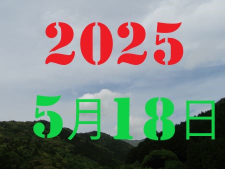 2010N13