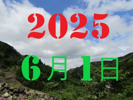 2010N13